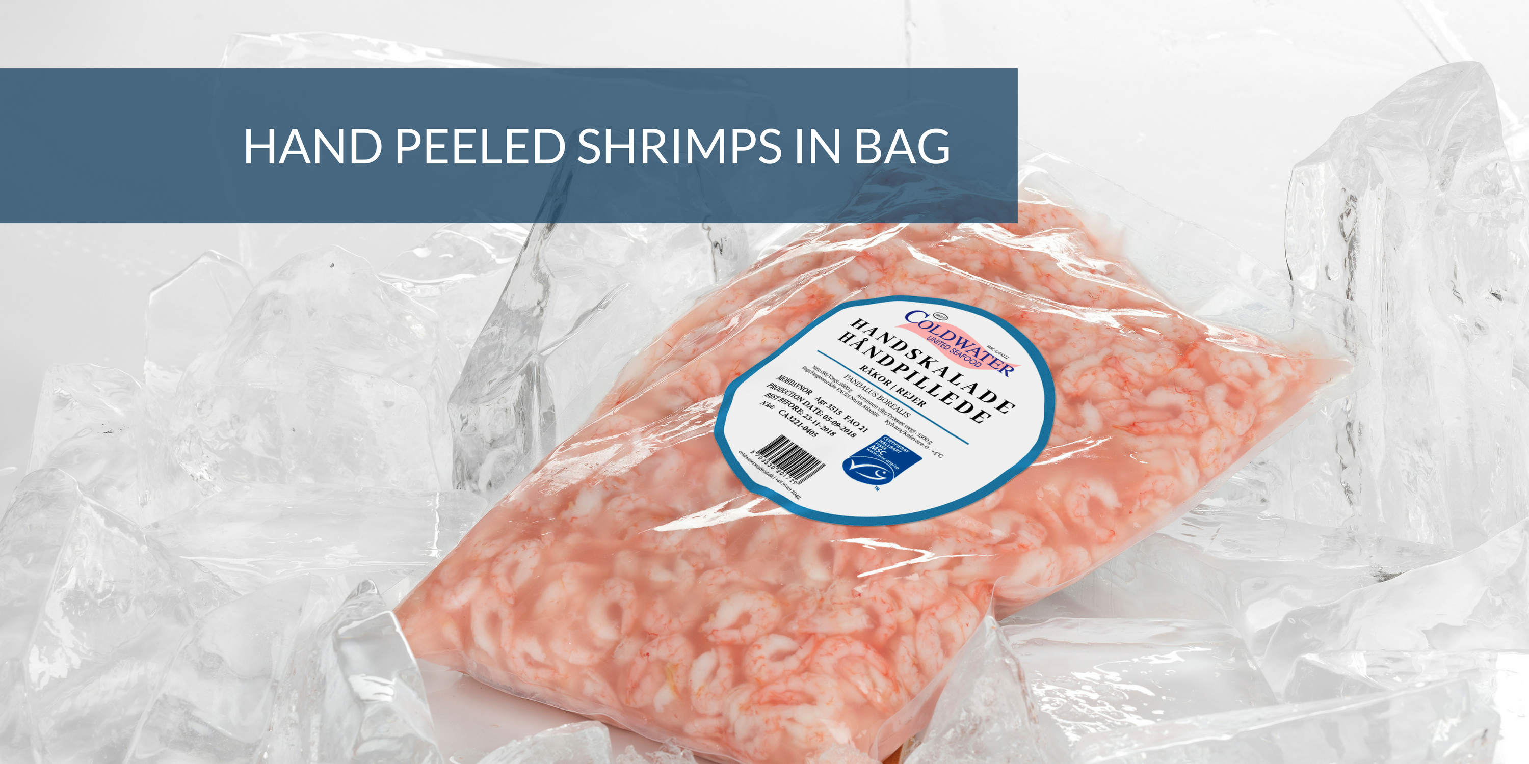 Shrimps Women's Antonia Mini Beaded Bag in Clear Shrimps
